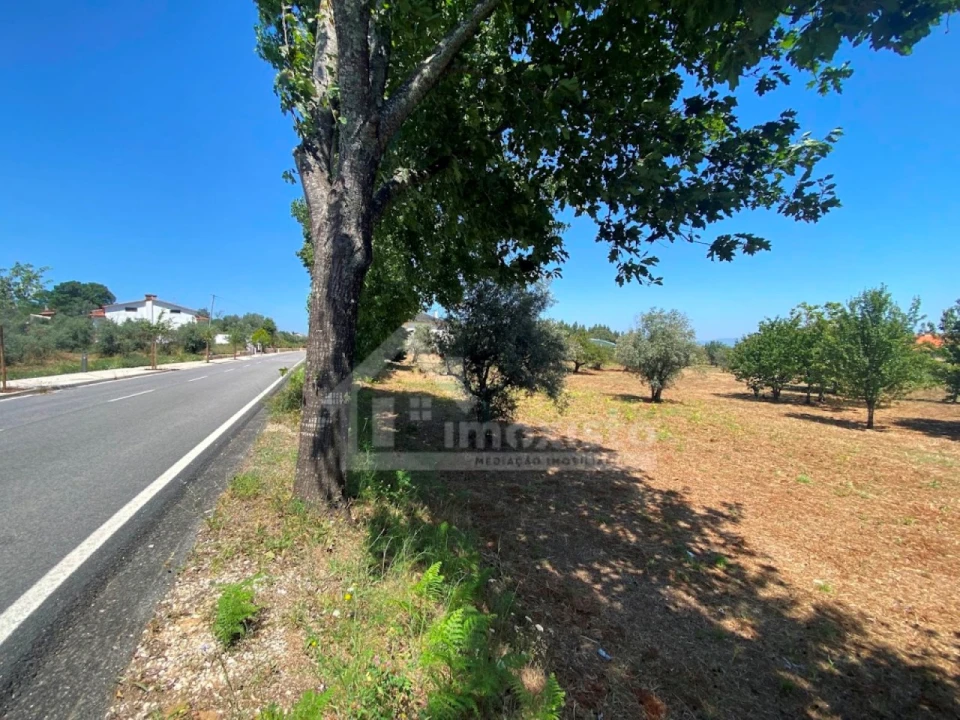 Quinta T5 para Venda em Figueiró dos Vinhos e Bairradas Foto 24