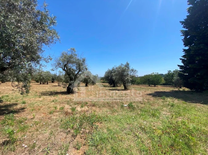 Quinta T5 para Venda em Figueiró dos Vinhos e Bairradas Foto 20