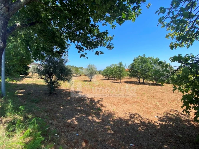 Quinta T5 para Venda em Figueiró dos Vinhos e Bairradas Foto 22