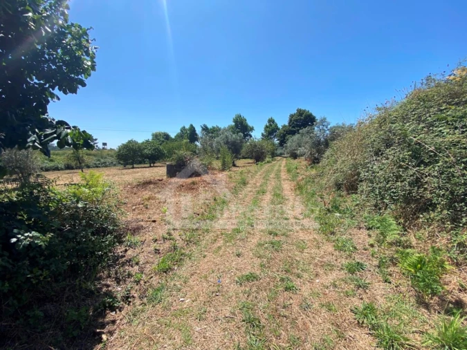 Quinta T5 para Venda em Figueiró dos Vinhos e Bairradas Foto 30