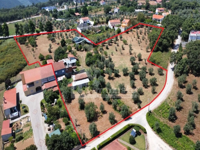 Quinta T5 para Venda em Figueiró dos Vinhos e Bairradas Foto 32