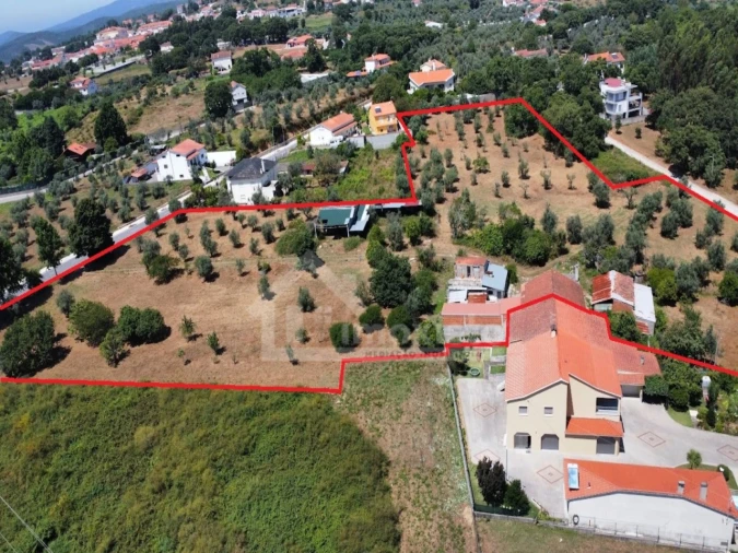 Quinta T5 para Venda em Figueiró dos Vinhos e Bairradas Foto 37