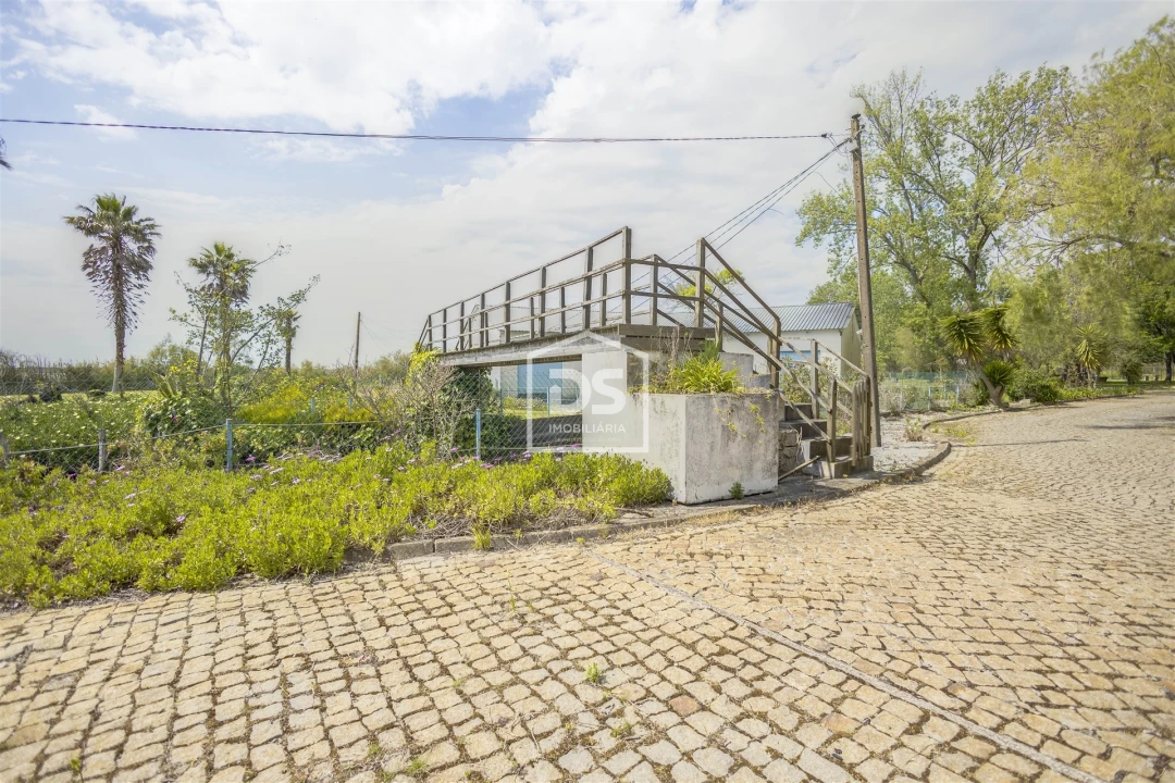 Quinta T4 para Venda em Valega Foto 22