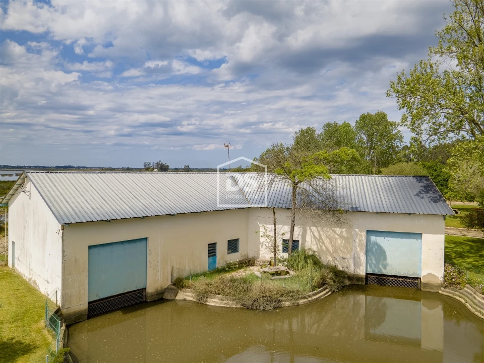 Quinta T4 para Venda em Valega Foto 29