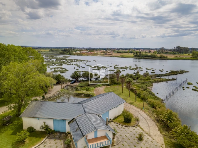 Quinta T4 para Venda em Valega Foto 2