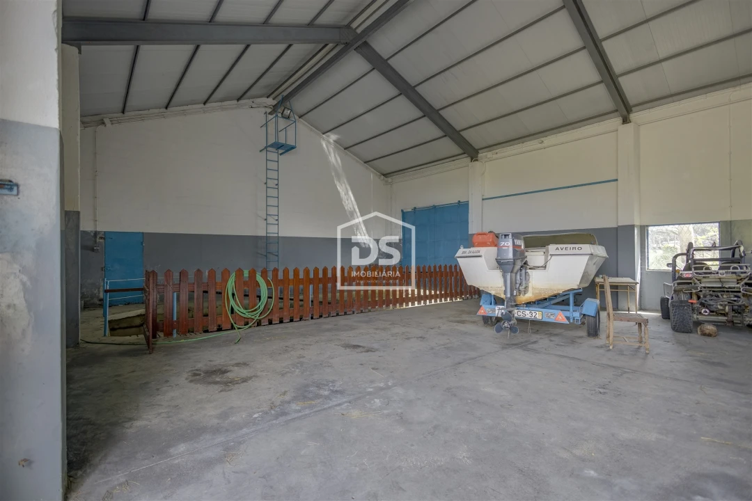 Quinta T4 para Venda em Valega Foto 23