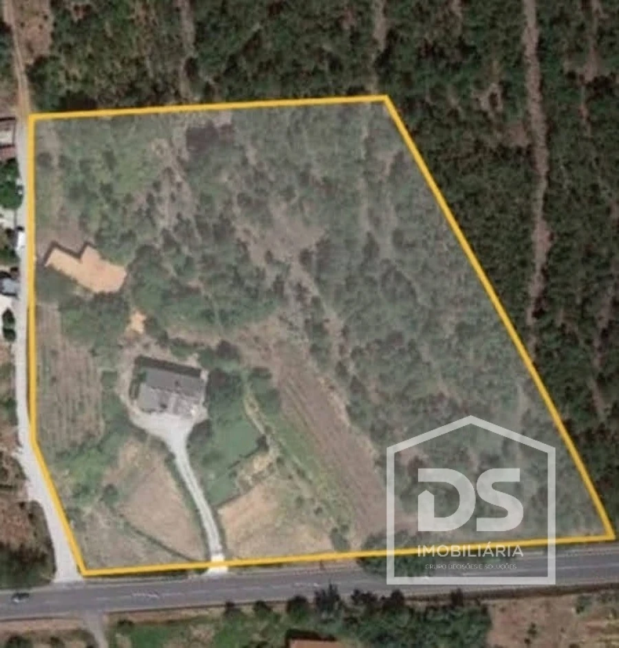 Quinta T0 para Venda em Cavernães Foto 7