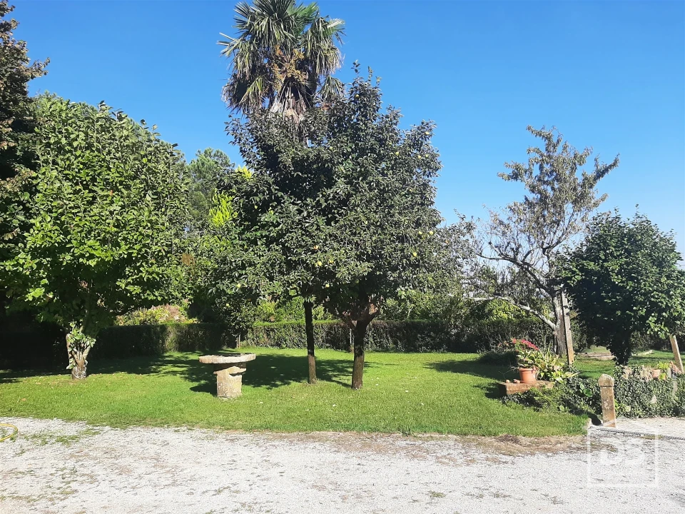 Quinta T0 para Venda em Cavernães Foto 4