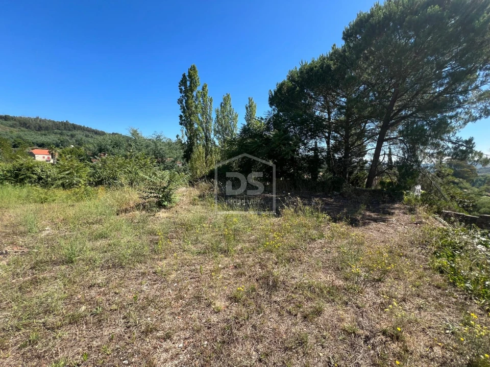 Quinta T0 para Venda em Nelas Foto 28