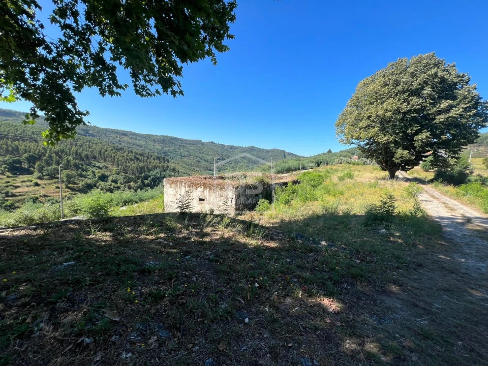 Quinta T0 para Venda em Nelas Foto 16