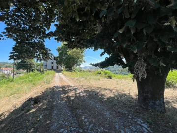 Quinta T0 para Venda em Nelas