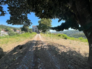 Quinta T0 para Venda em Nelas