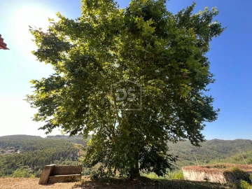 Quinta T0 para Venda em Nelas