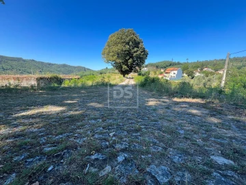 Quinta T0 para Venda em Nelas