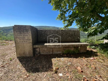 Quinta T0 para Venda em Nelas