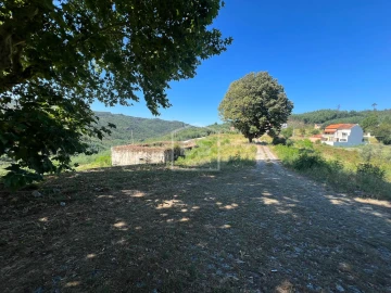 Quinta T0 para Venda em Nelas