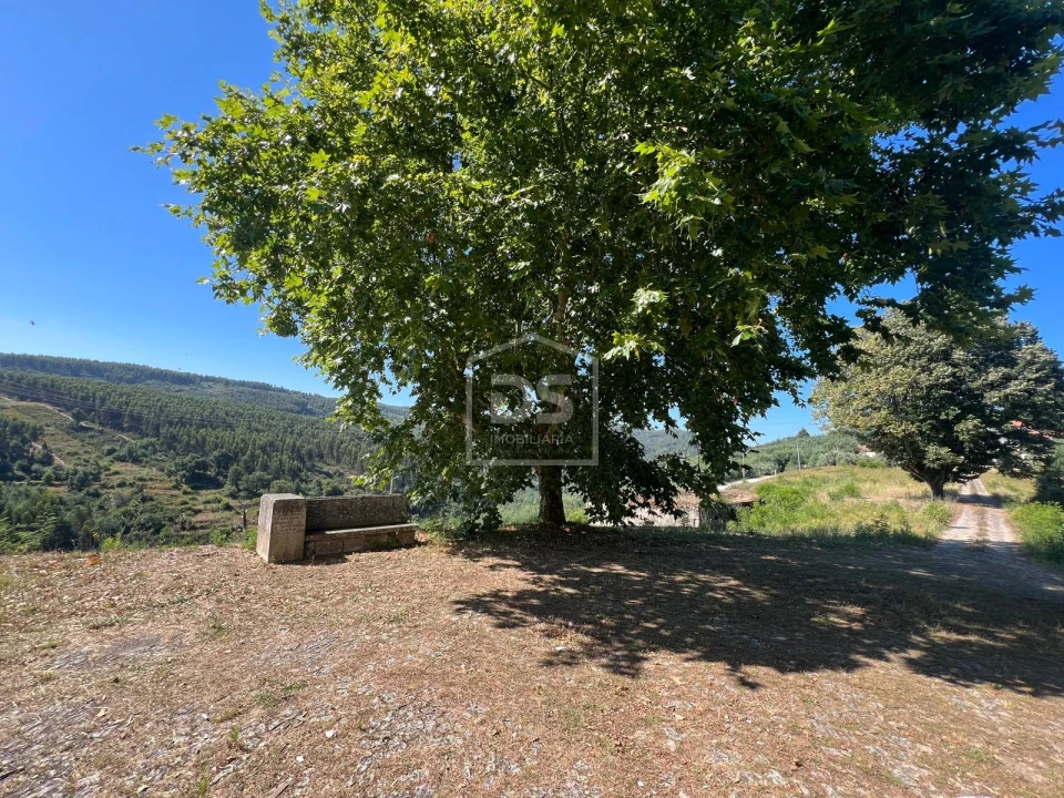 Quinta T0 para Venda em Nelas Foto 13