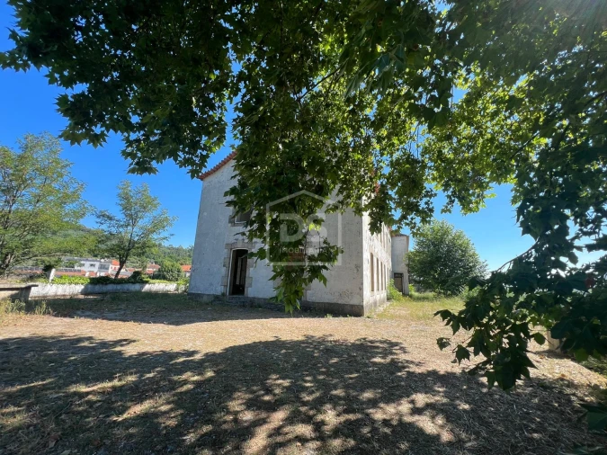 Quinta T0 para Venda em Nelas Foto 6