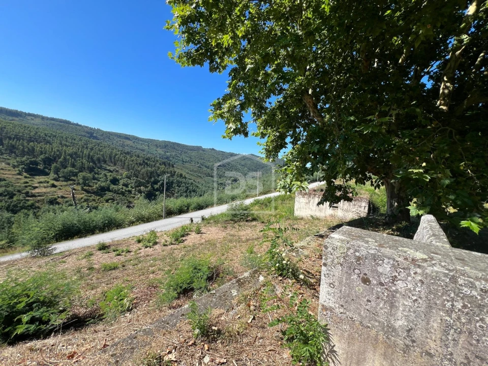 Quinta T0 para Venda em Nelas Foto 15