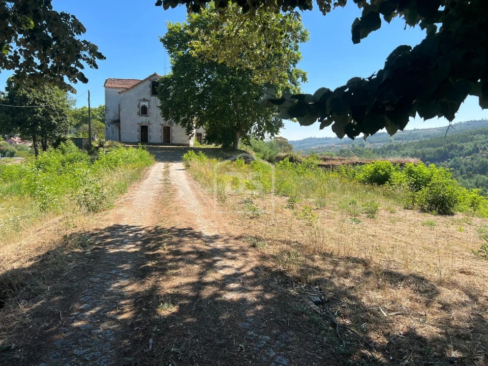 Quinta T0 para Venda em Nelas Foto 5