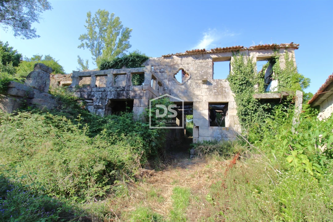 Quinta T0 para Venda em Boelhe Foto 1