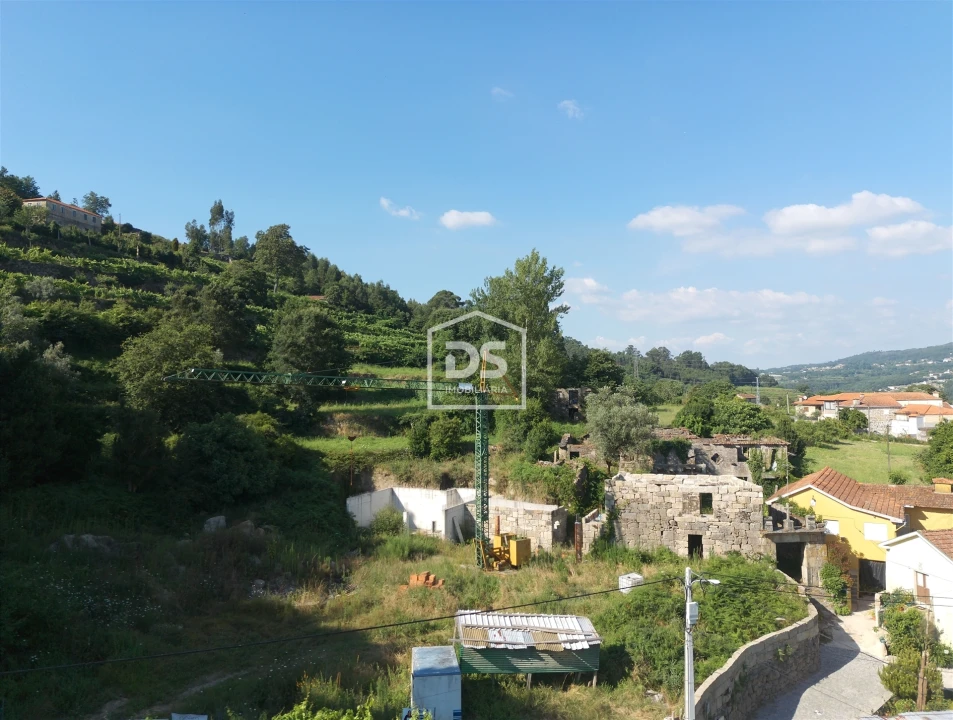 Quinta T0 para Venda em Boelhe Foto 8