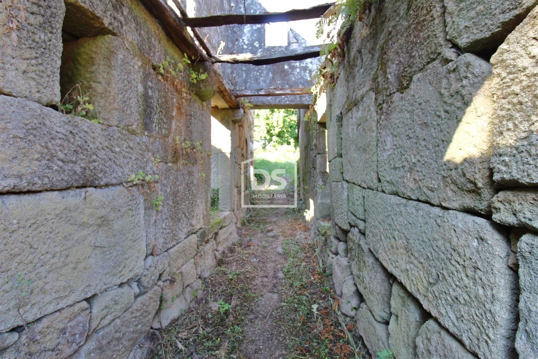 Quinta T0 para Venda em Boelhe Foto 17