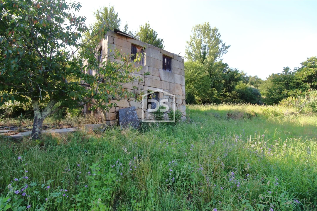 Quinta T0 para Venda em Boelhe Foto 19