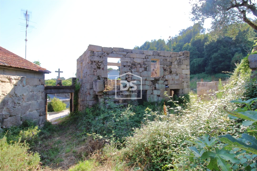 Quinta T0 para Venda em Boelhe Foto 16