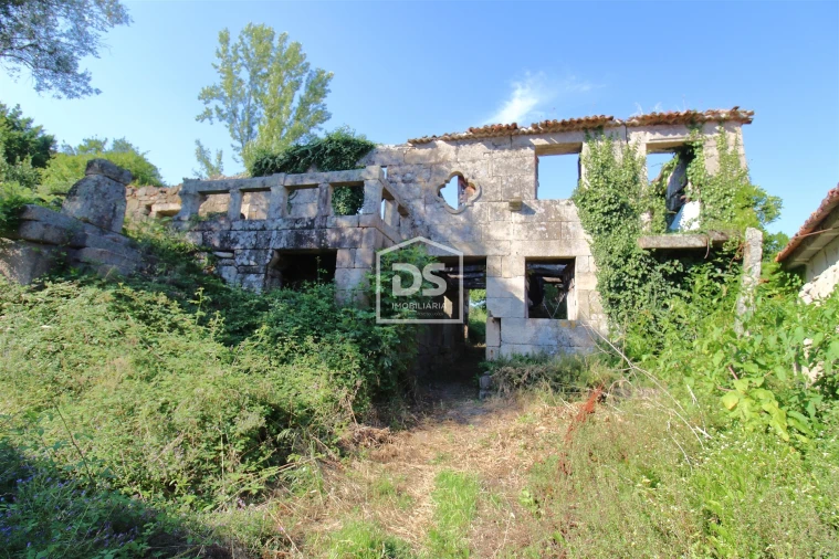 Quinta T0 para Venda em Boelhe Foto 1