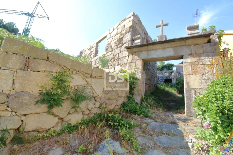 Quinta T0 para Venda em Boelhe Foto 2