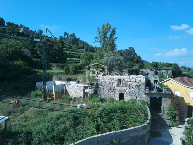 Quinta T0 para Venda em Boelhe Foto 14