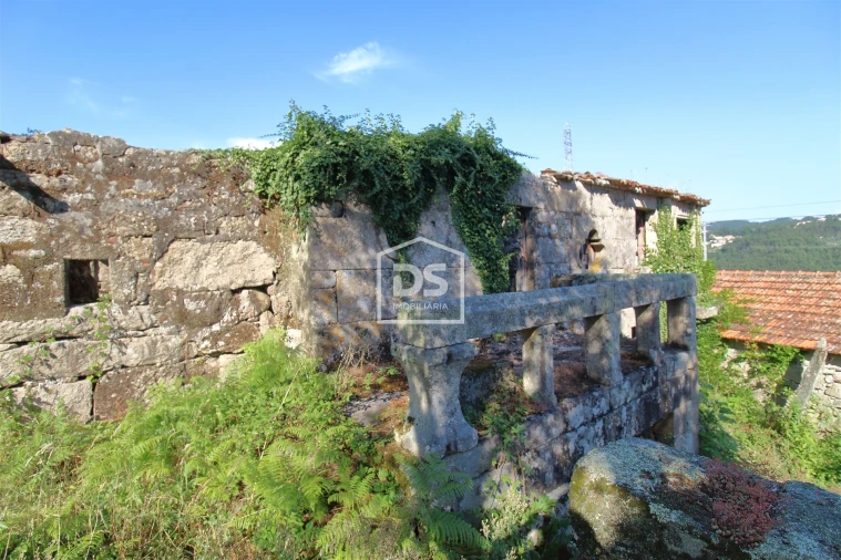 Quinta T0 para Venda em Boelhe Foto 20