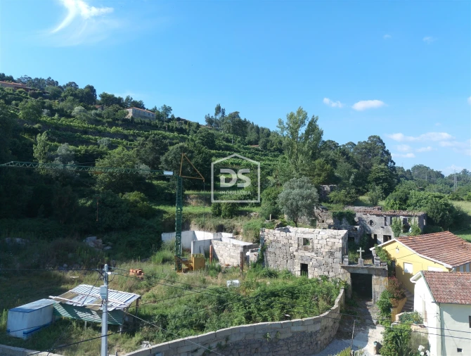 Quinta T0 para Venda em Boelhe Foto 7