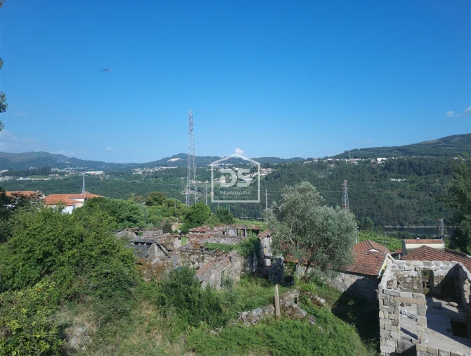 Quinta T0 para Venda em Boelhe Foto 12