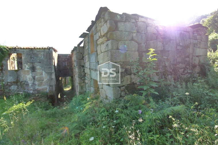 Quinta T0 para Venda em Boelhe Foto 18