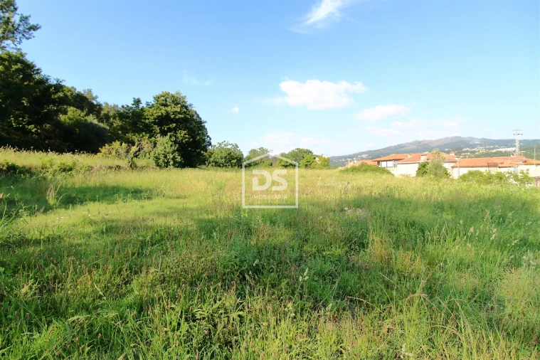 Quinta T0 para Venda em Boelhe Foto 5