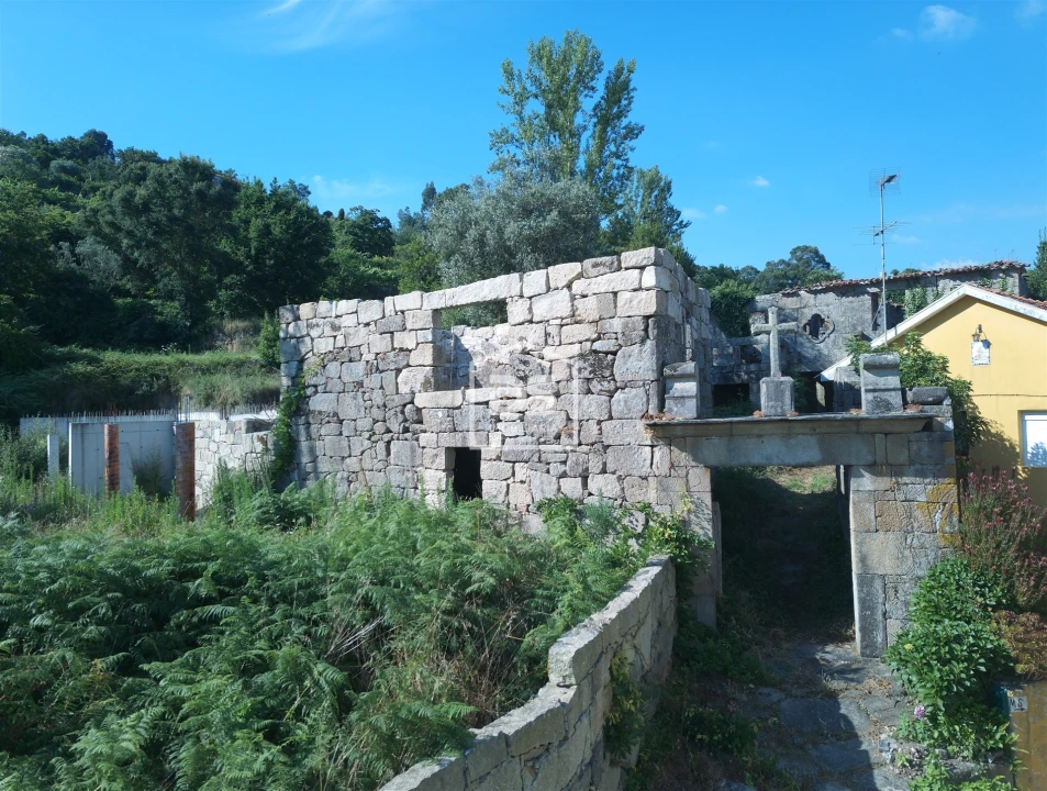 Quinta T0 para Venda em Boelhe Foto 3