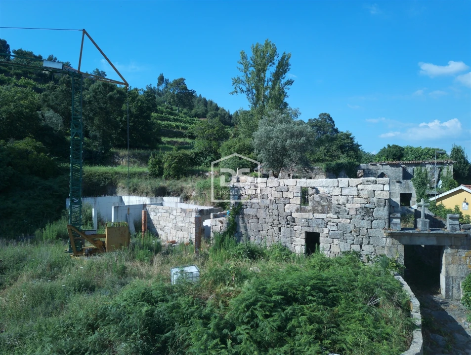 Quinta T0 para Venda em Boelhe Foto 13