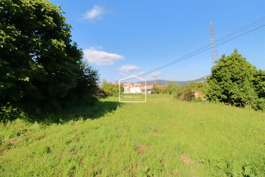 Quinta T0 para Venda em Boelhe Foto 6