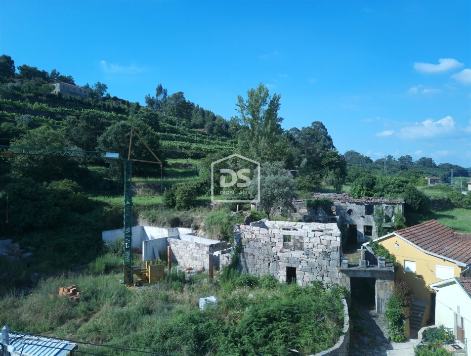 Quinta T0 para Venda em Boelhe Foto 15