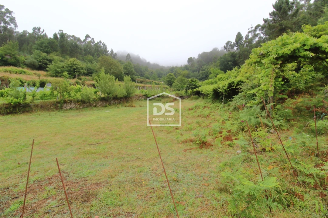 Terreno para Venda em Souselo Foto 3
