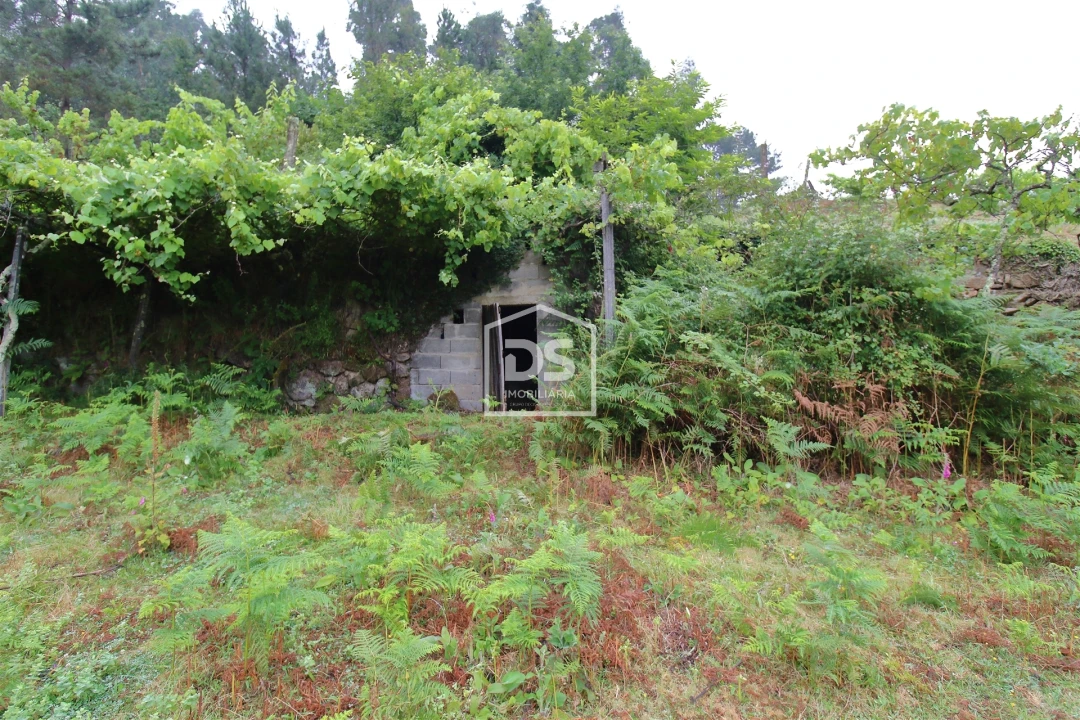 Terreno para Venda em Souselo Foto 5
