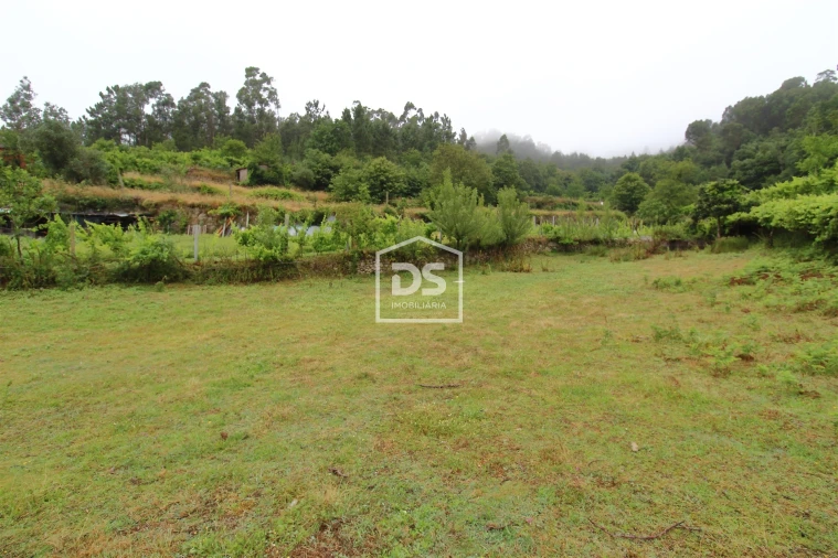 Terreno para Venda em Souselo