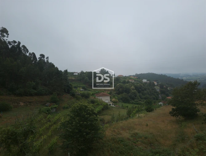 Terreno para Venda em Souselo Foto 14