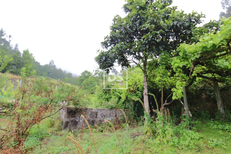 Terreno para Venda em Souselo Foto 6