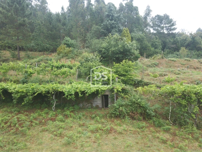 Terreno para Venda em Souselo Foto 19