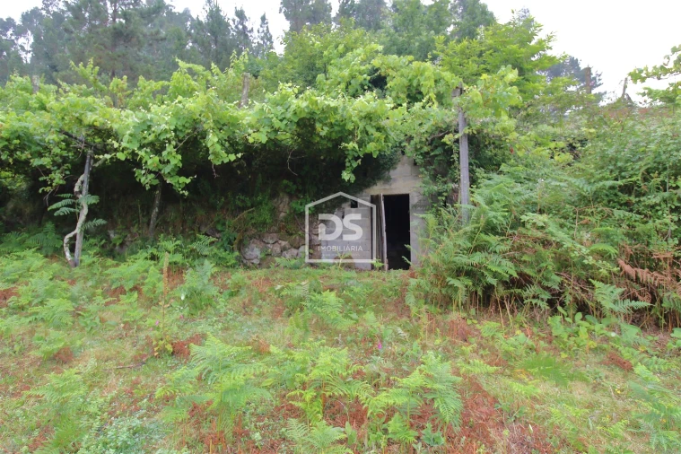 Terreno para Venda em Souselo Foto 4
