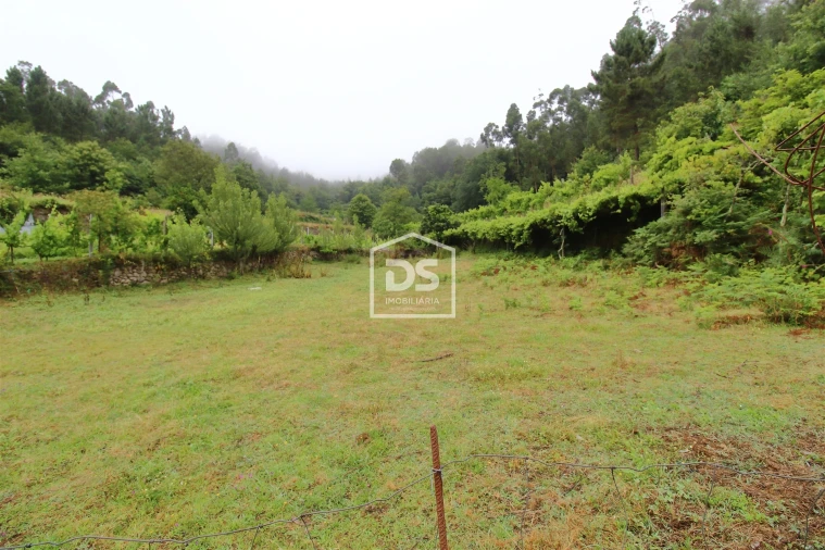 Terreno para Venda em Souselo Foto 2