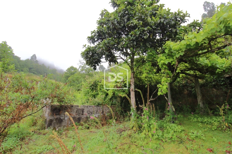 Terreno para Venda em Souselo Foto 7